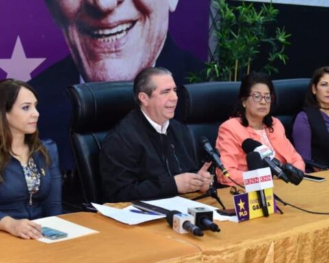 Candidaturas  del PLD  se decidirán por encuestas