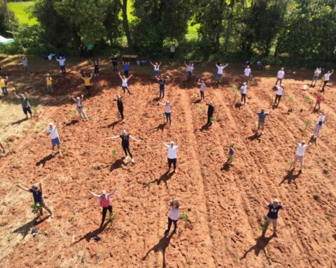 Paraguay Plant adds thousands of new trees in different parts of the country