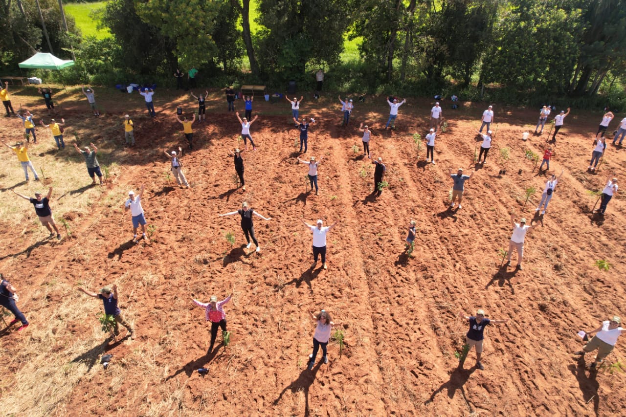 Paraguay Plant adds thousands of new trees in different parts of the country