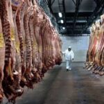Paraguay takes another step to export meat to the United States