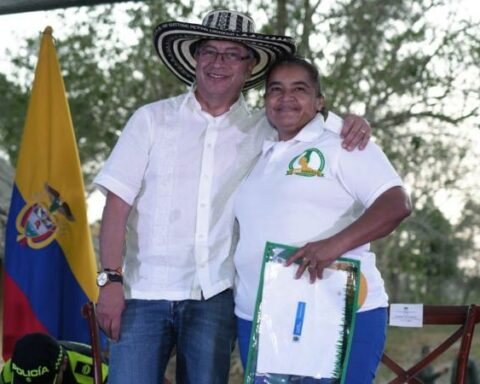 Petro criticized decision that removes control of services regulation