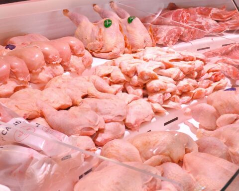 Poultry companies from Norte de Santander finalize details to export chicken to Venezuela