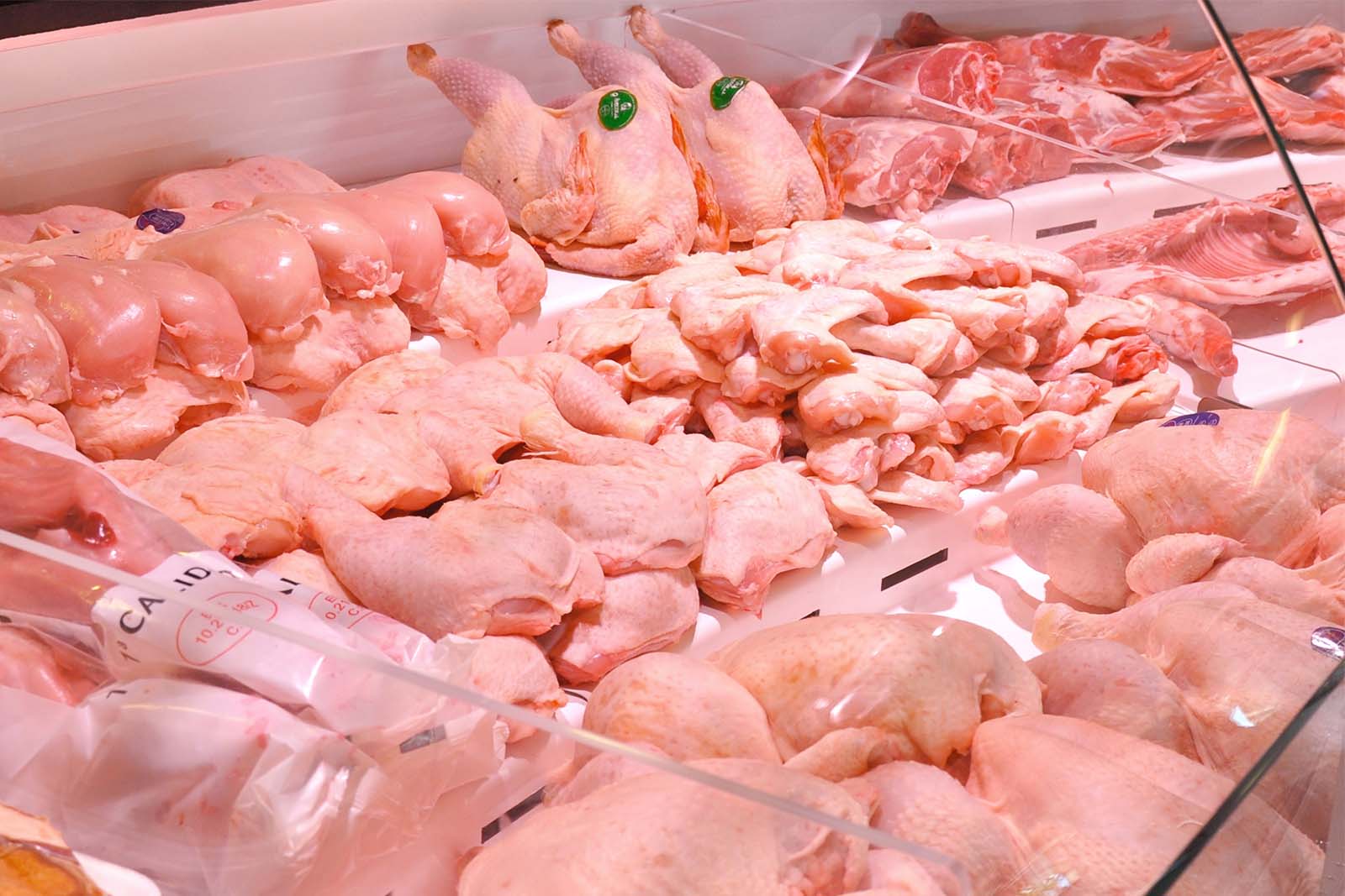 Poultry companies from Norte de Santander finalize details to export chicken to Venezuela