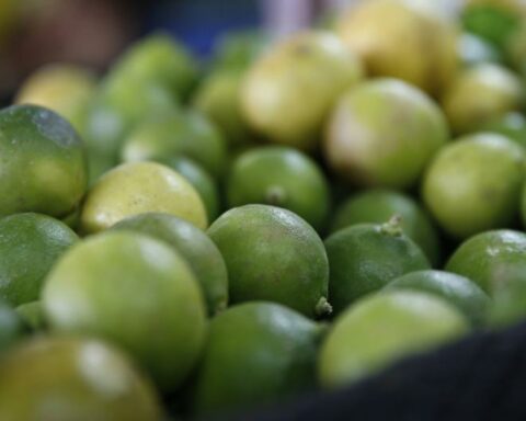 Rains and cyclone Yaku: wholesale lemon price shoots up 264%