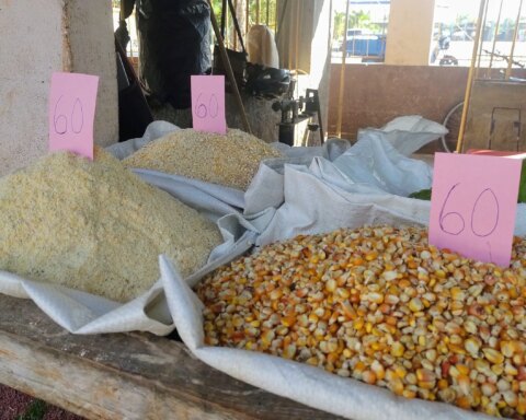 Harina, Villa Clara, Cuba, Economía