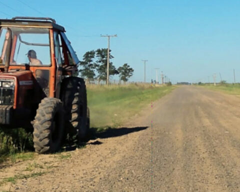 Reisch asked the MTOP to control so that grass is not cut on the shoulders