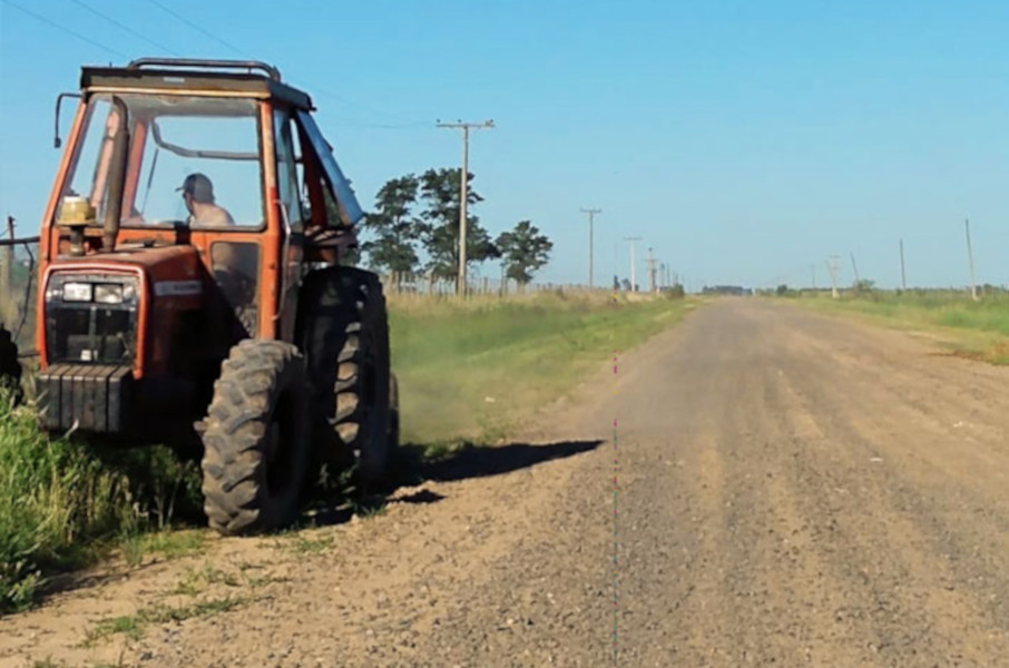 Reisch asked the MTOP to control so that grass is not cut on the shoulders