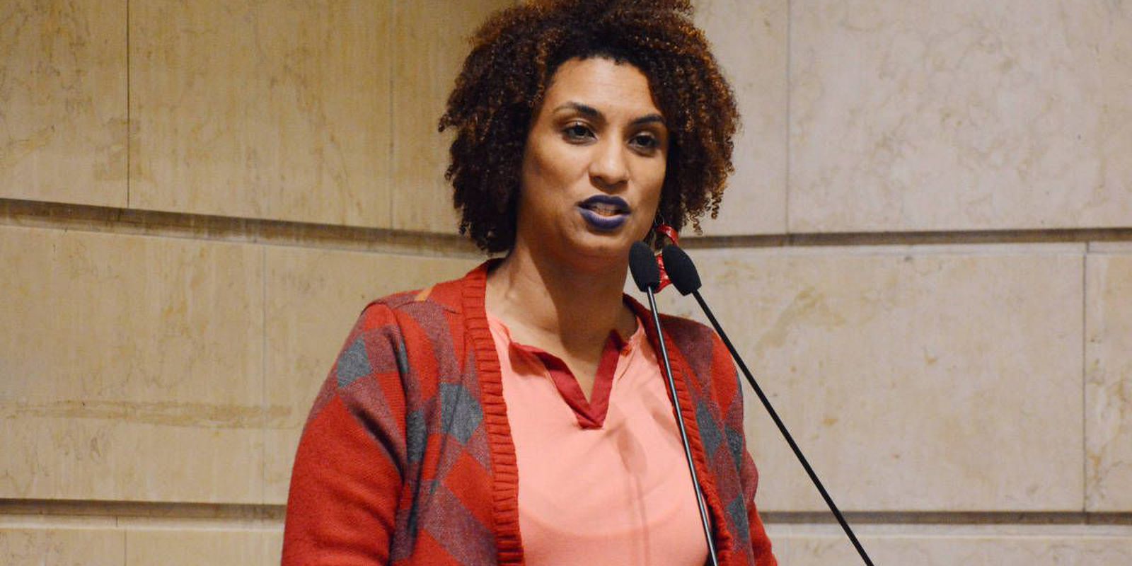 Rio MP appoints members to investigate Marielle Franco's death