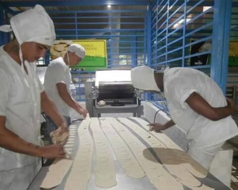 EPIA Santiago de Cuba, Harina