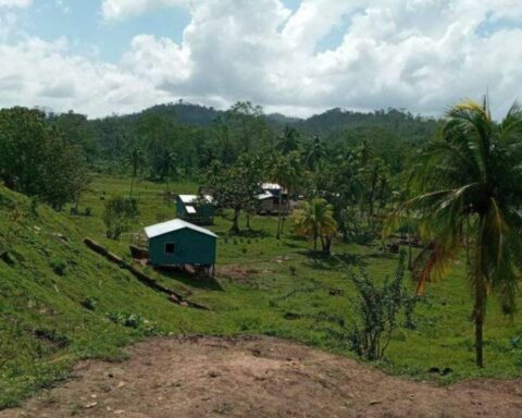 Settlers kidnap and attack indigenous communities of Wilú, North Caribbean Coast, alert organizations