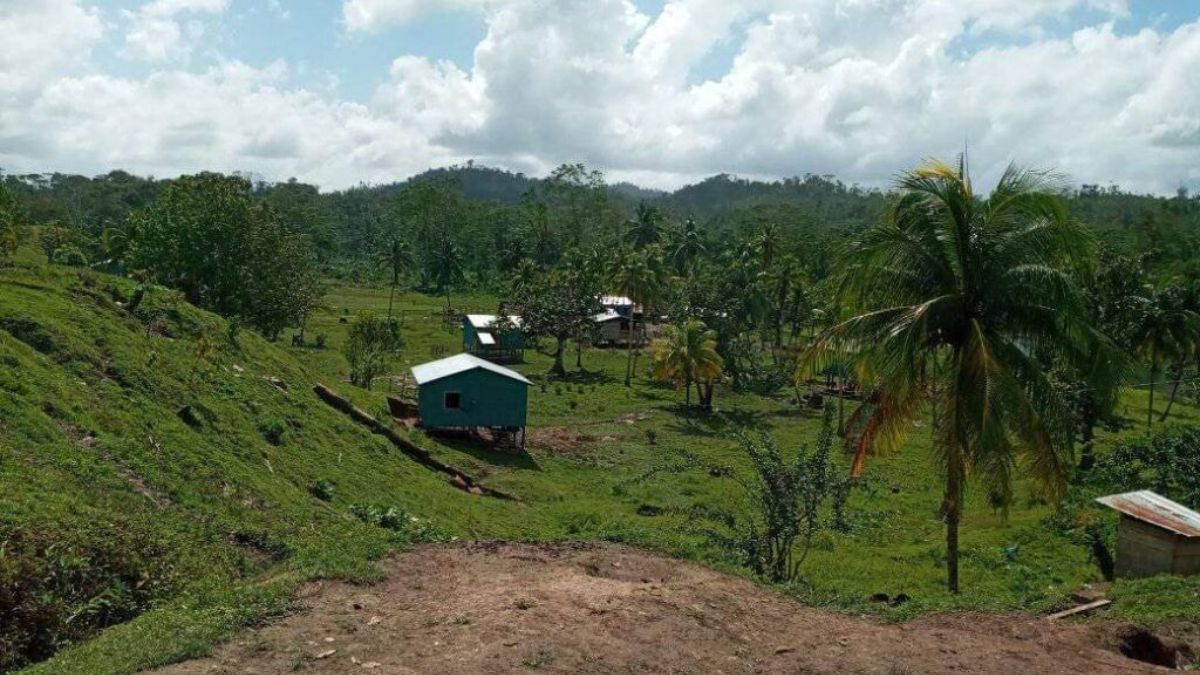 Settlers kidnap and attack indigenous communities of Wilú, North Caribbean Coast, alert organizations