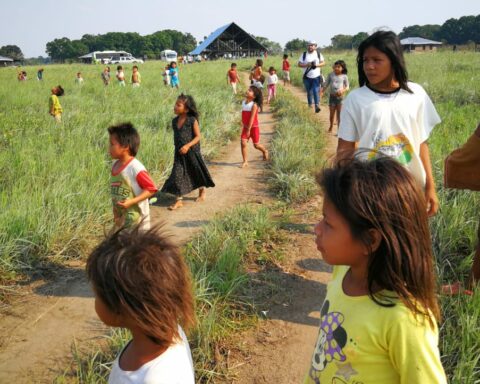 Some 300 indigenous children receive science and biodiversity workshops