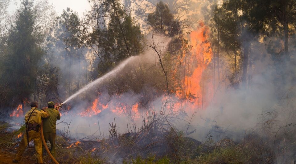 The fire in Holguín and Santiago de Cuba has been going on for 11 days and 3,600 hectares consumed