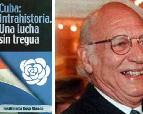 Rafael Díaz-Balart, Cuba