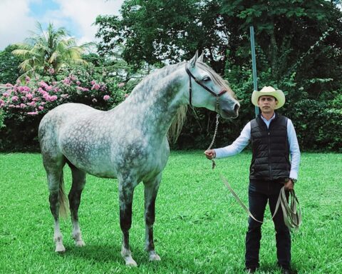 The sociologist who breeds, trains and rides horses in Camoapa