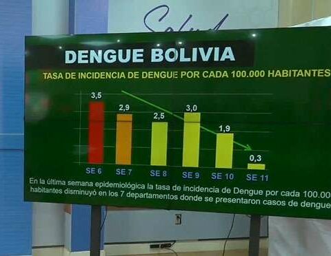 There are 15,645 cases of dengue in Bolivia;  one person died in the last week
