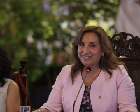 These are the profiles of the regional prefects of the Dina Boluarte government