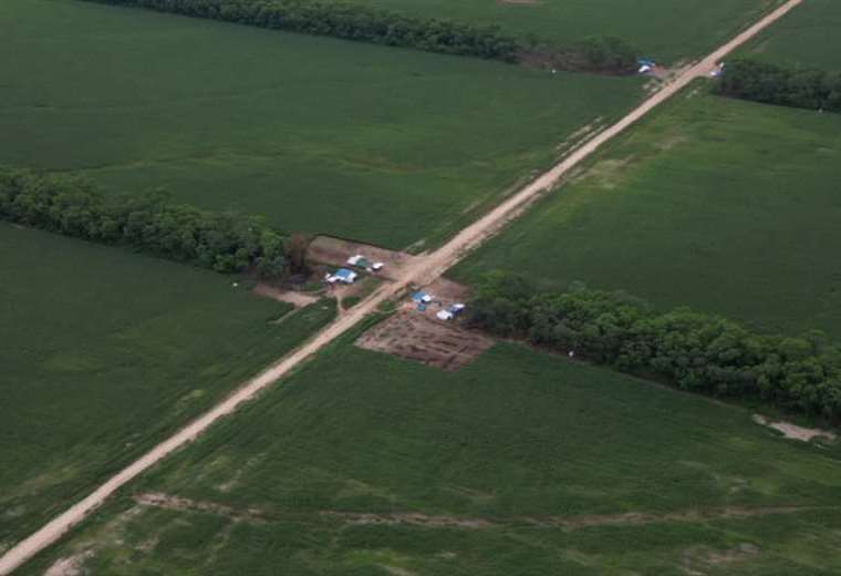 They denounce that "subduers" of the Santagro property intend to negotiate the 1,800 hectares of soybeans ready to harvest