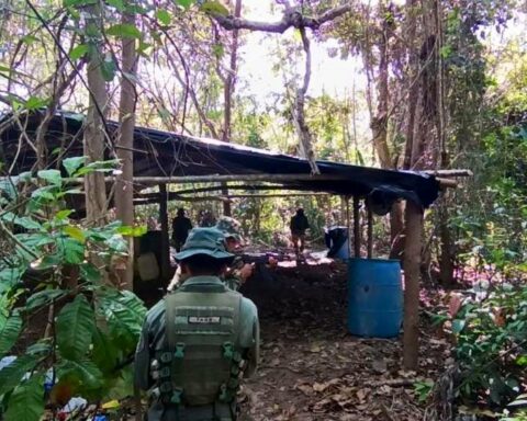 They dismantle another camp dedicated to drug trafficking in Zulia