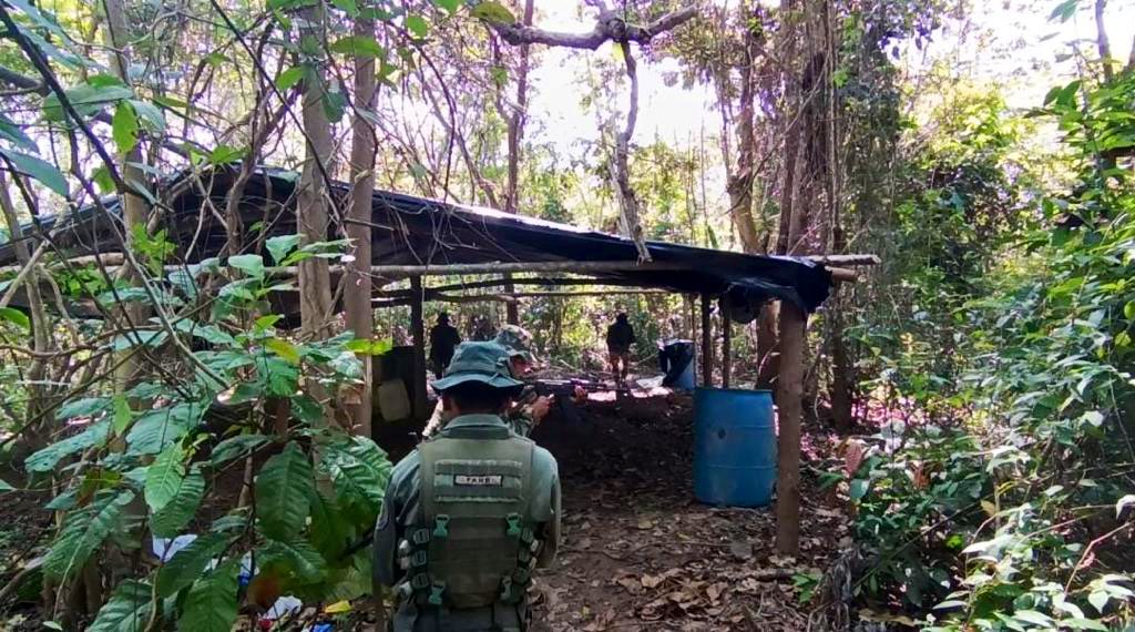 They dismantle another camp dedicated to drug trafficking in Zulia