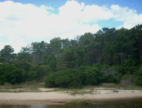 They entered to look for drugs and money, they did not find and they killed two people