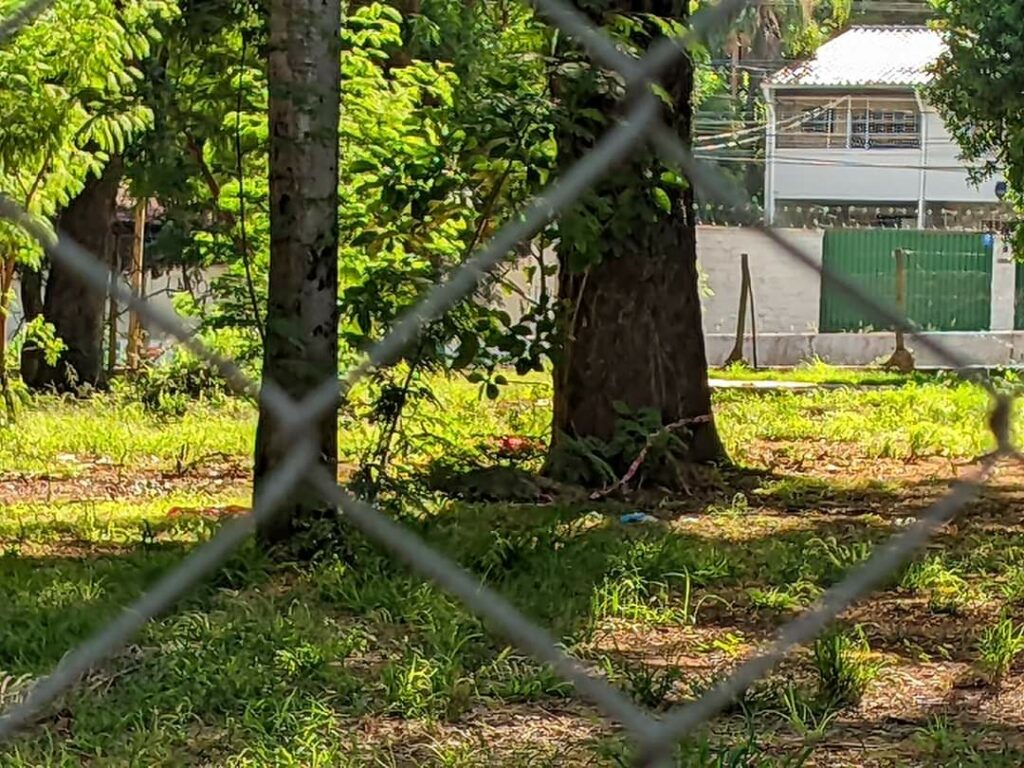 They investigate the case of a Japanese found dead under a tree