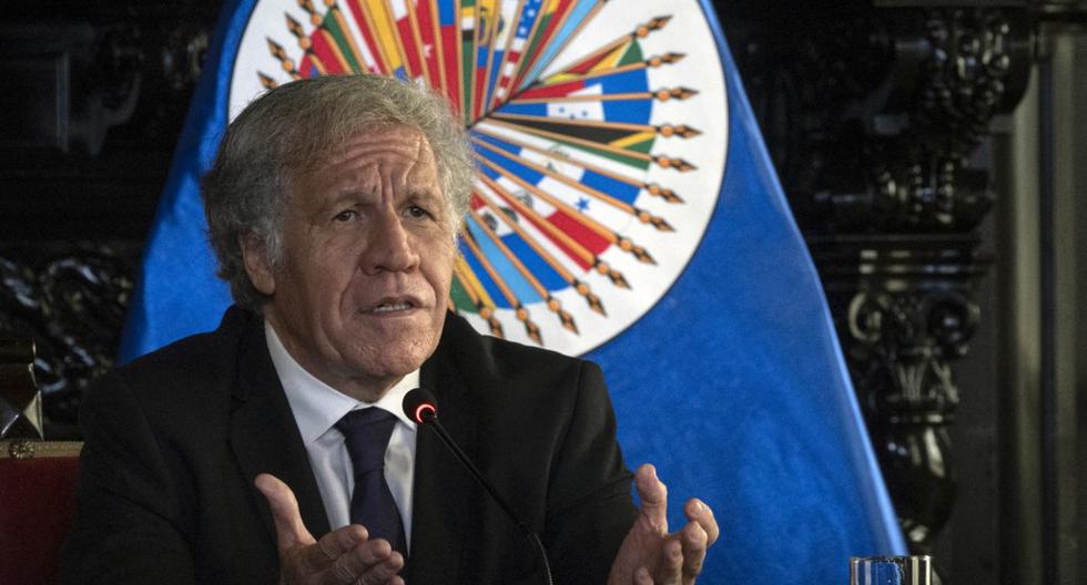 They present a complaint to Almagro for interference against Peru by AMLO and five other presidents