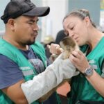 They rescue wild animals that were going to be sold