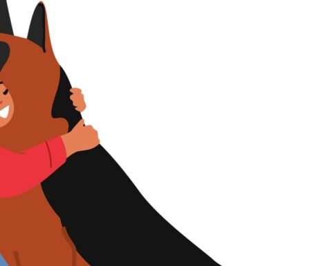 What is the solution for a sick building?