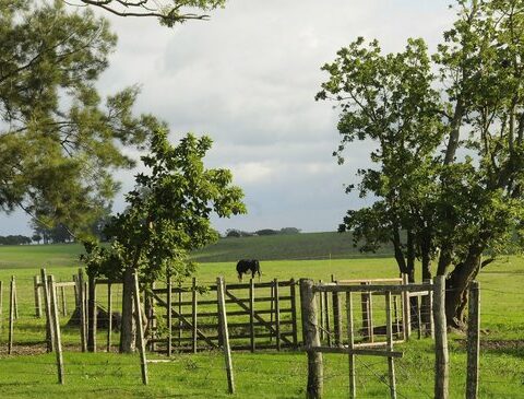 What two agricultural unions requested by letter from Lacalle Pou and two ministers