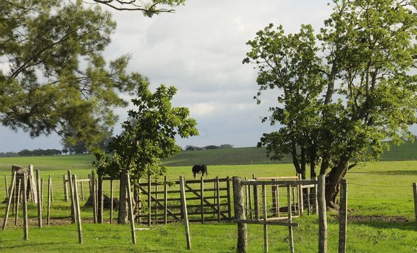 What two agricultural unions requested by letter from Lacalle Pou and two ministers