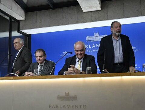 Whites study Manini's project of interest so that concessions go through the Senate