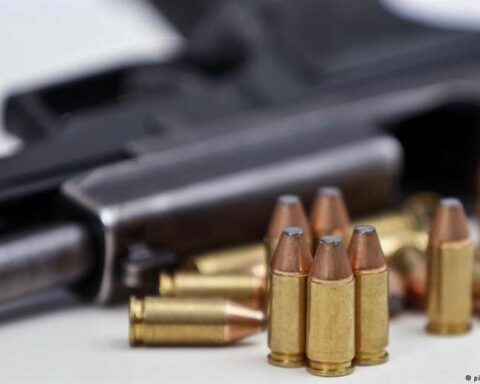 Who can have a gun license in Germany?