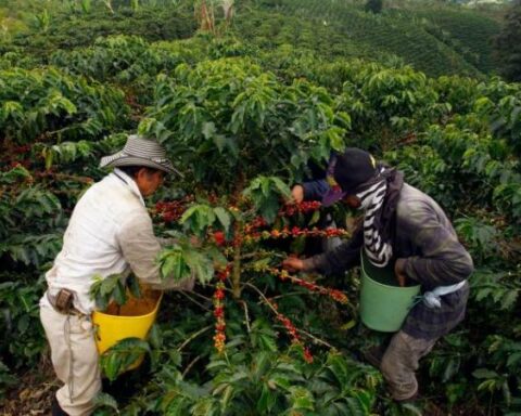 Why is there controversy in the election of the new manager of the FNC?