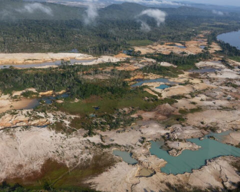 5 in 1 |  Earth Day: Venezuela's environmental debts