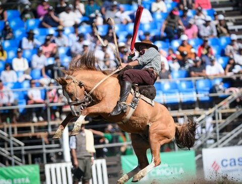 Animalists request suspension of the Criolla after horse death: "Culture cannot be torture"