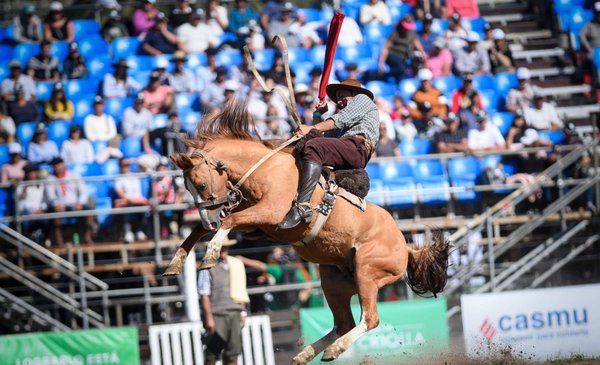 Animalists request suspension of the Criolla after horse death: "Culture cannot be torture"