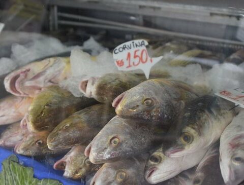 Boats that did not set sail and few people in the city: this was the sale of fish on Good Friday