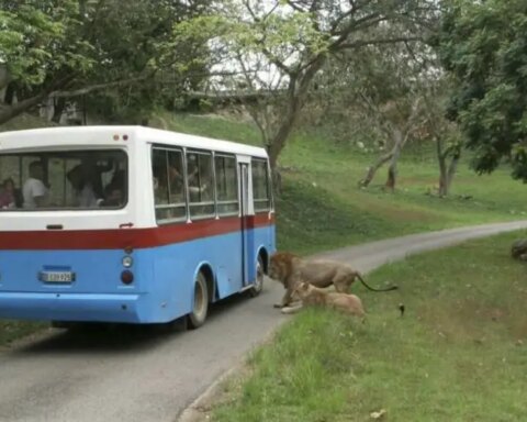 Parque Zoológico Nacional de Cuba