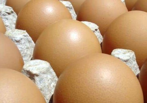 Egg production is normal and the Consumer Defense holds intermediaries responsible for price speculation
