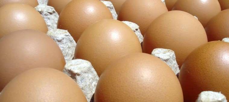 Egg production is normal and the Consumer Defense holds intermediaries responsible for price speculation