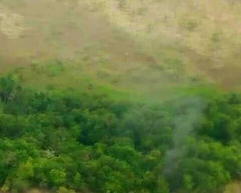 FAN reports the destruction of "hostile aircraft" in the border area of ​​Apure