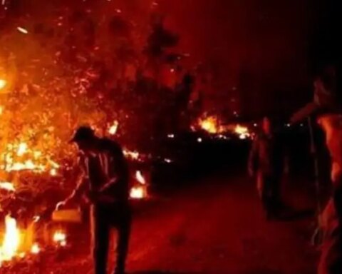 incendio, Pinar del Río, Mantua, hectáreas