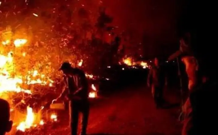 incendio, Pinar del Río, Mantua, hectáreas