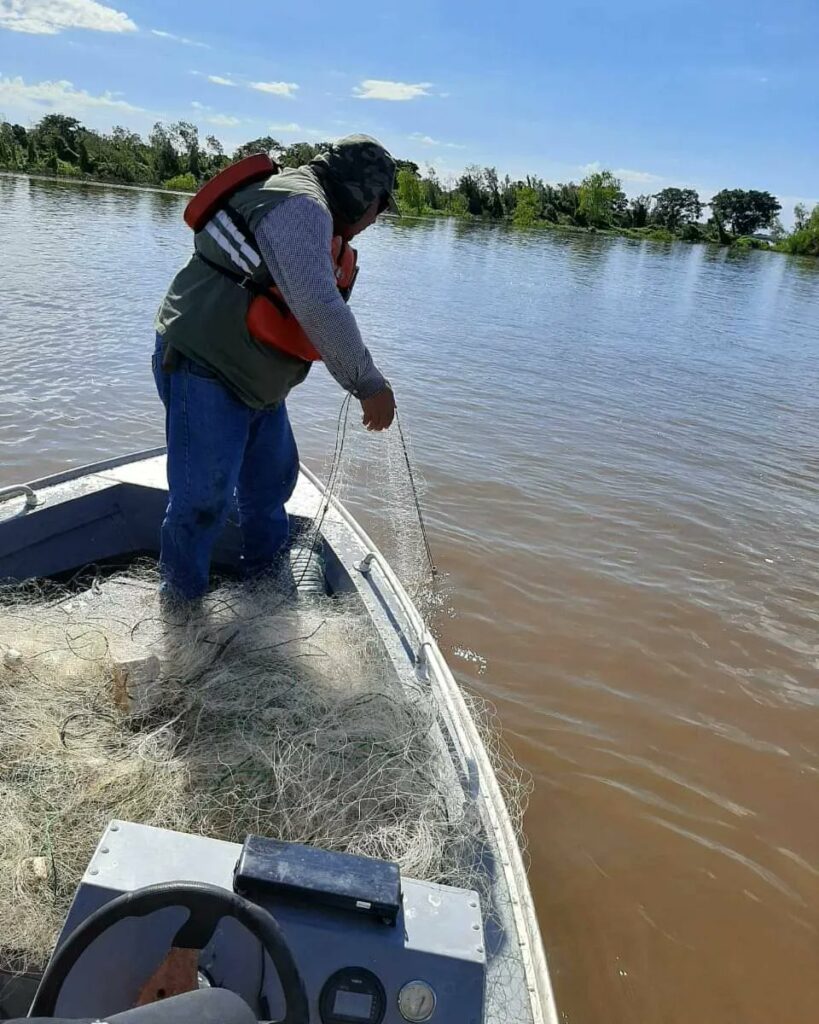 Fish mortality: strict controls in the waters of the Paraguay and Paraná rivers