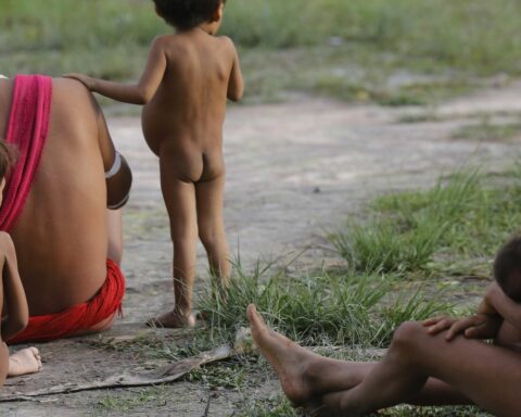 Government needed to act fast to face indigenous genocide