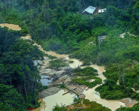 Greenpeace Brazil finds 176 excavators on Yanomami land