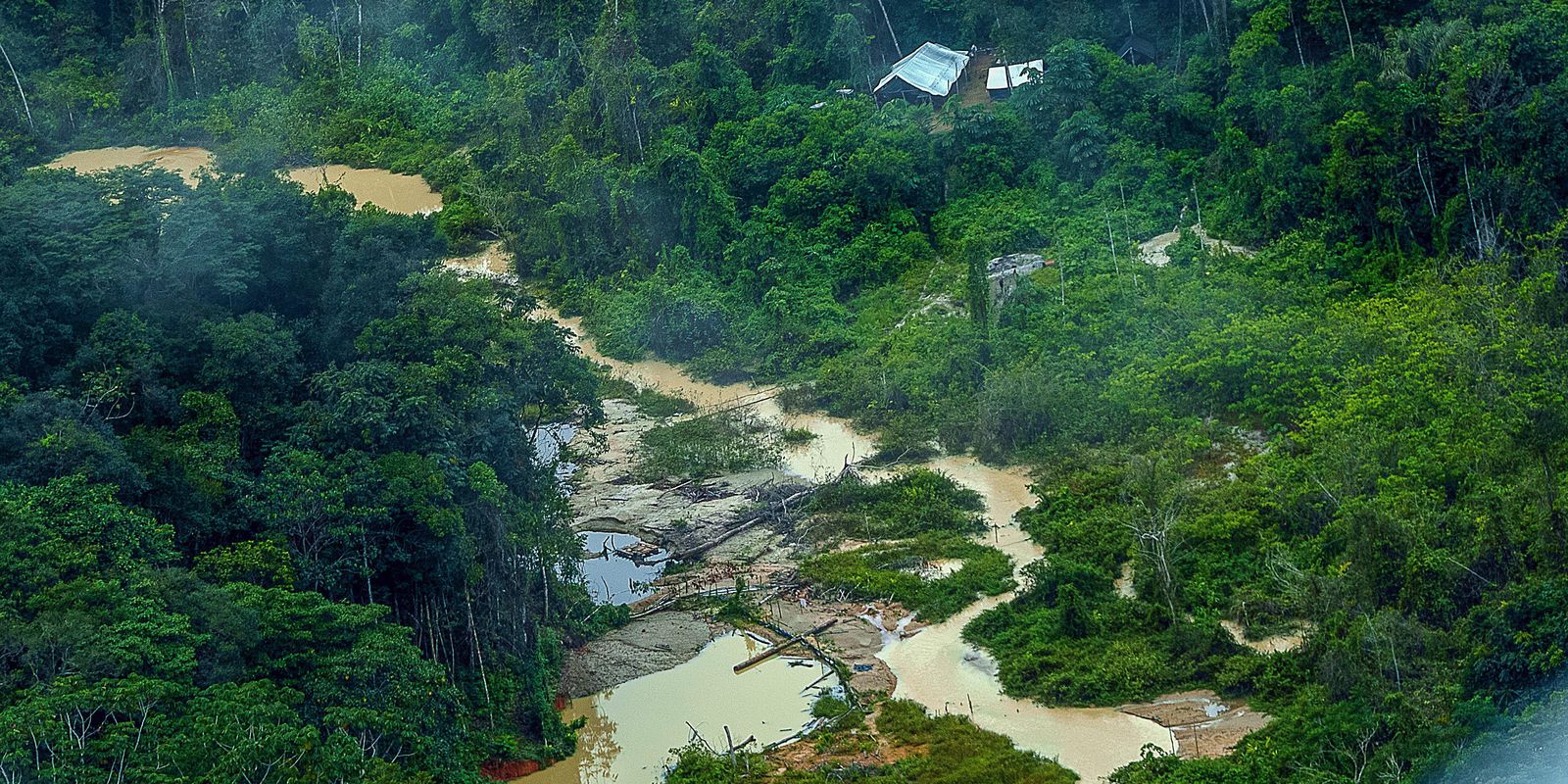 Greenpeace Brazil finds 176 excavators on Yanomami land