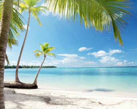 In February, income from tourism rose 12%