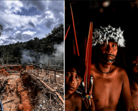 Indigenous Yanomami dies shot by miners in Brazil, according to government